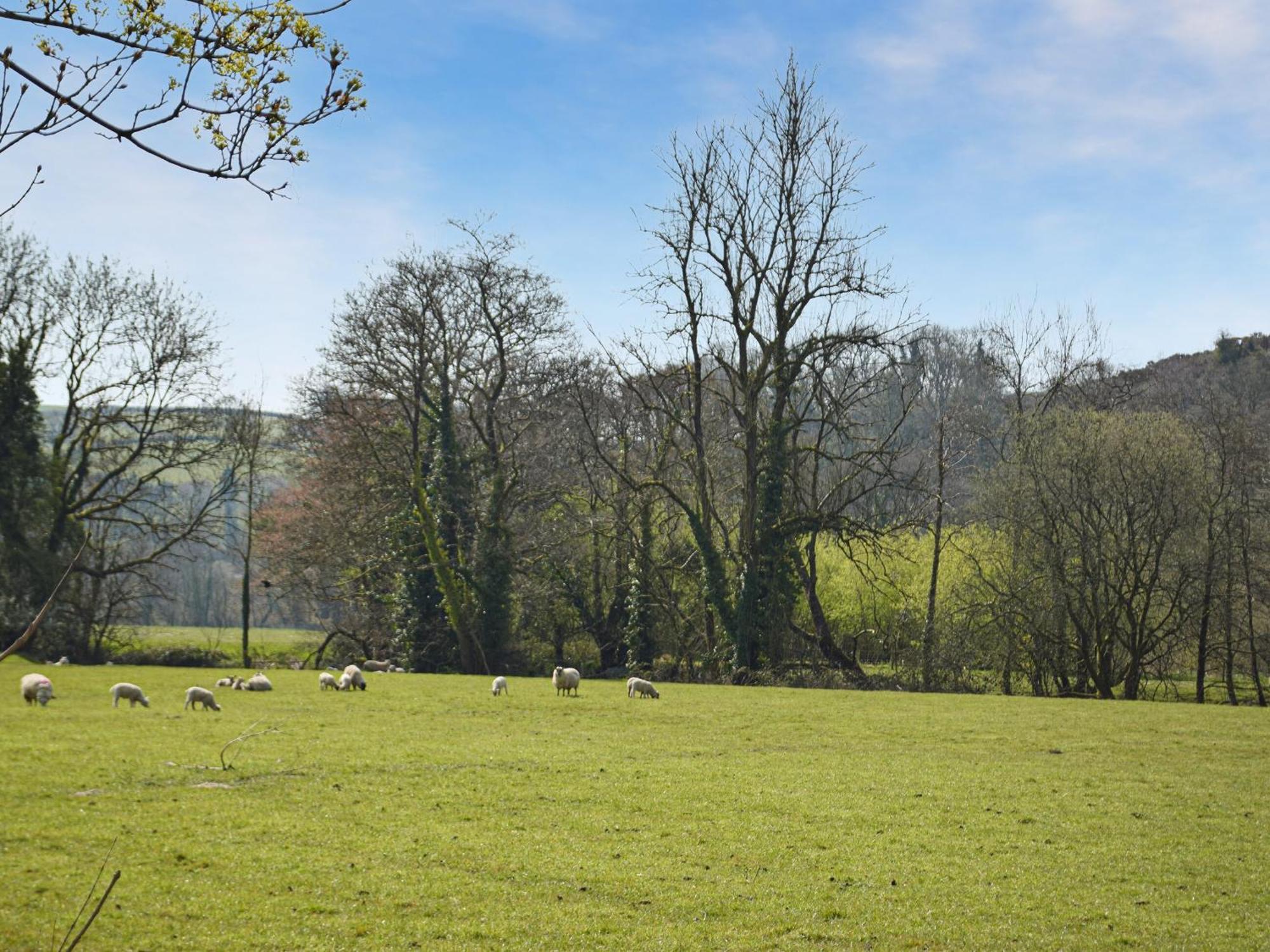 Tynval Holiday home Carmarthen